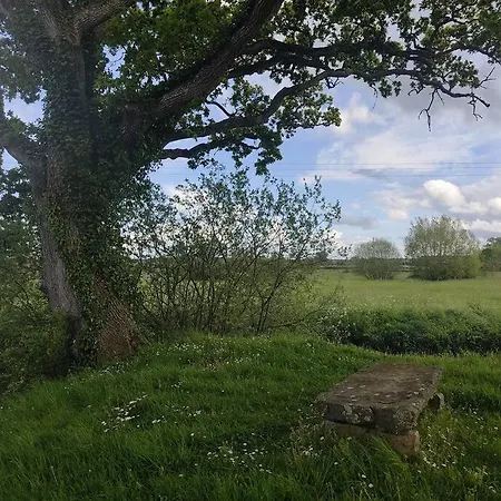 Διαμέρισμα La Bergeronnette *